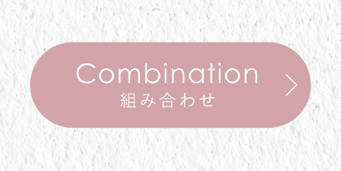 Amino Master Combination 組み合わせ