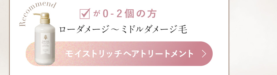 Amino Master モイストリッチヘアトリートメント