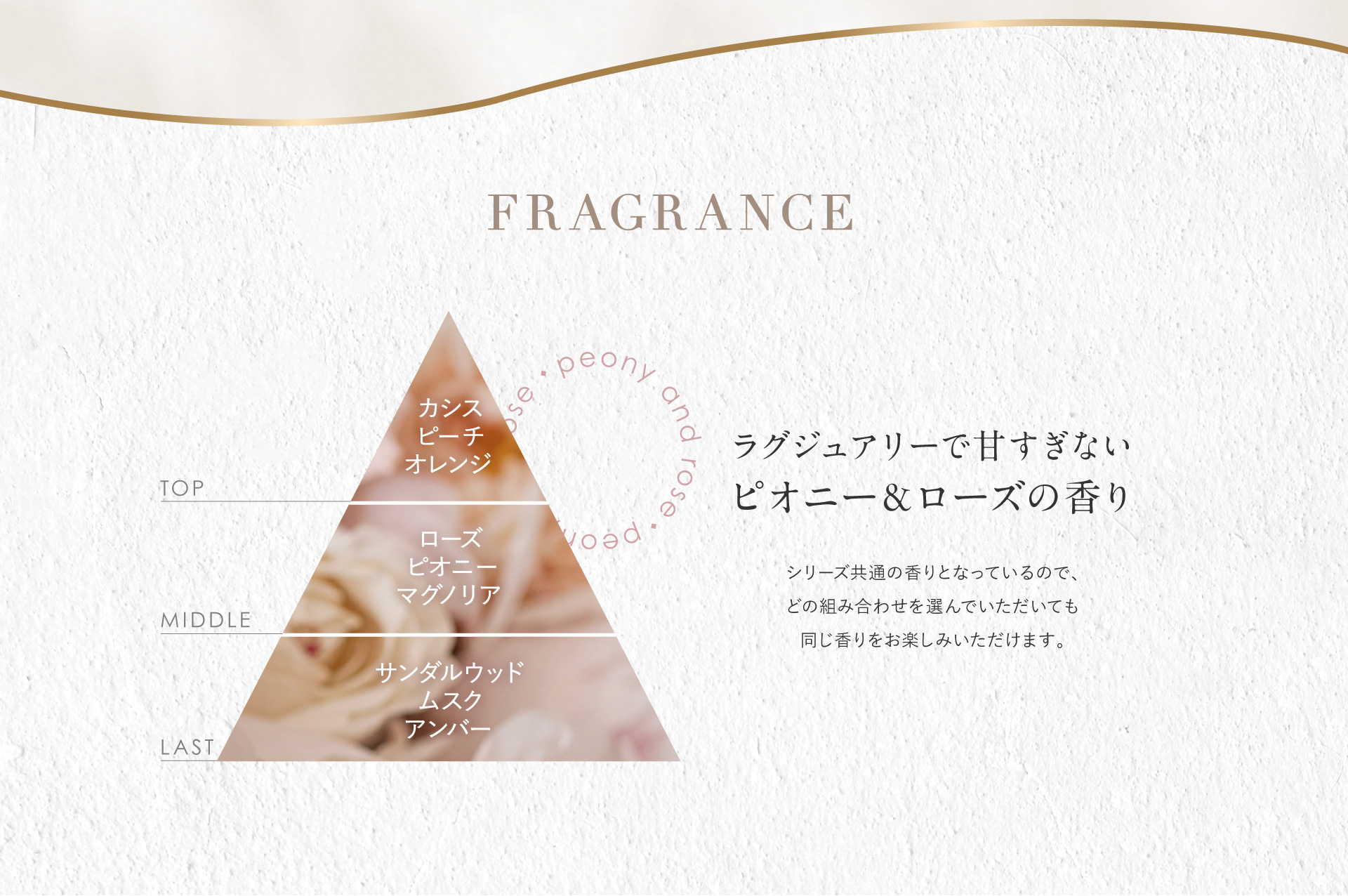 Amino Master FRAGRANCE