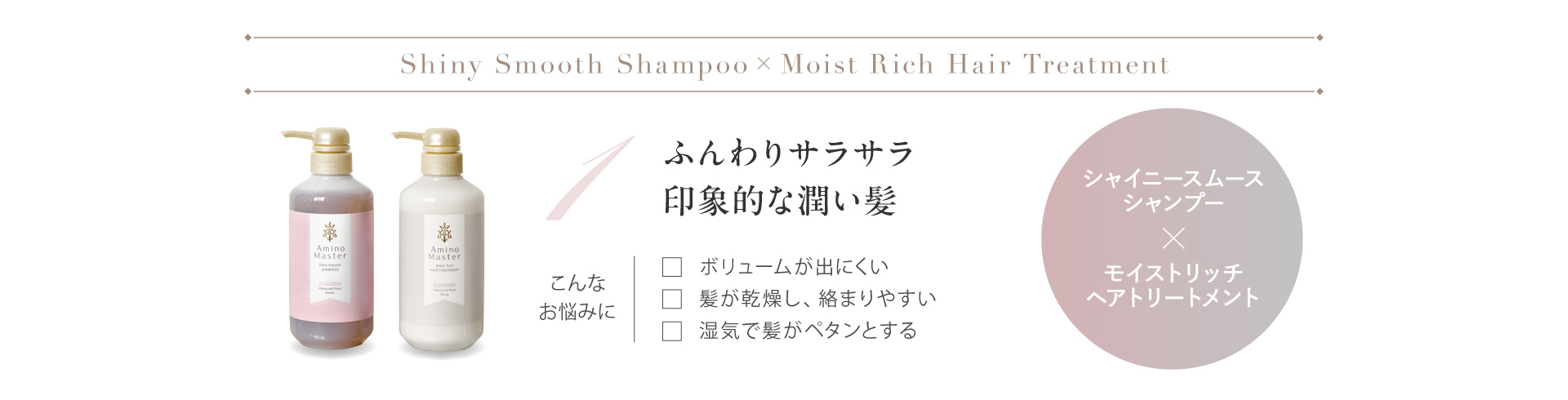 Amino Master シャイニスムースシャンプー×モイストリッチヘアトリートメント