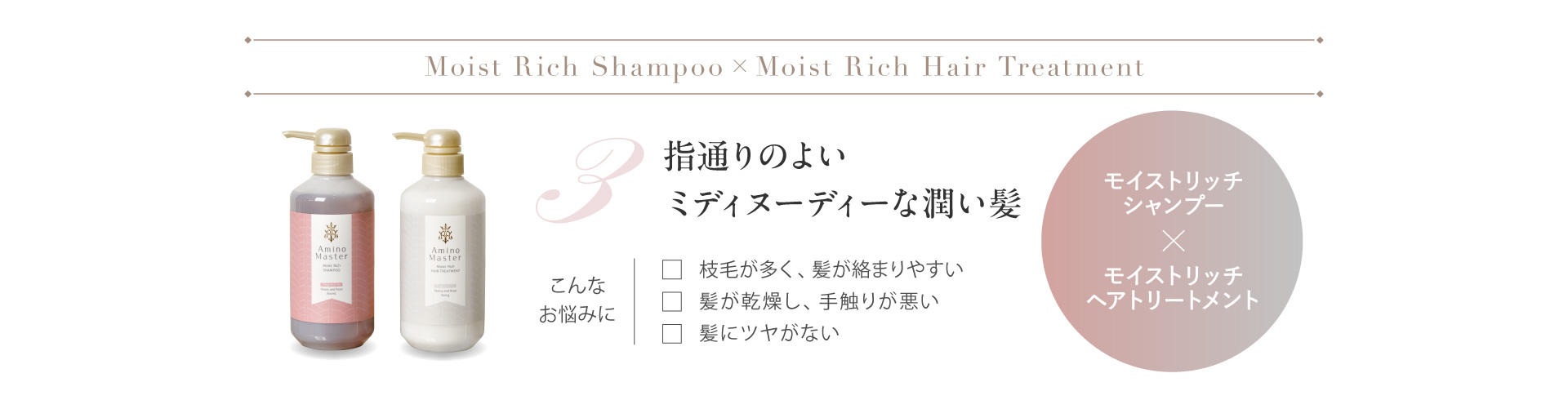 Amino Master モイストリッチシャンプー×モイストリッチヘアトリートメント
